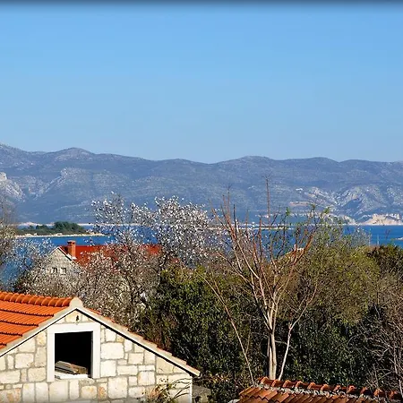 Sunny House Апартаменты *